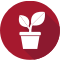 Plant icon